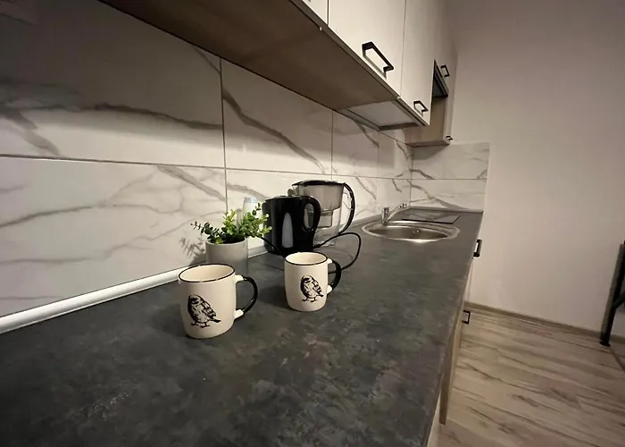 Mini Kawalerka Poznanska 22 Lägenhet