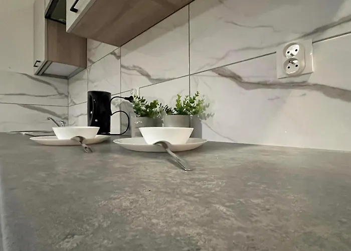 Mini Kawalerka Poznanska 22